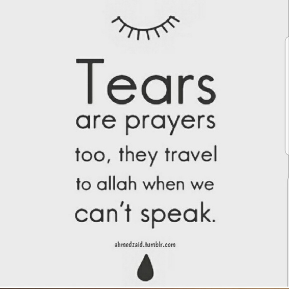 EVERYTHING - Picture 5 of 8